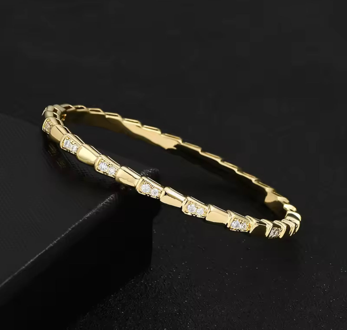 Snake Bone Stainless Steel Bangle