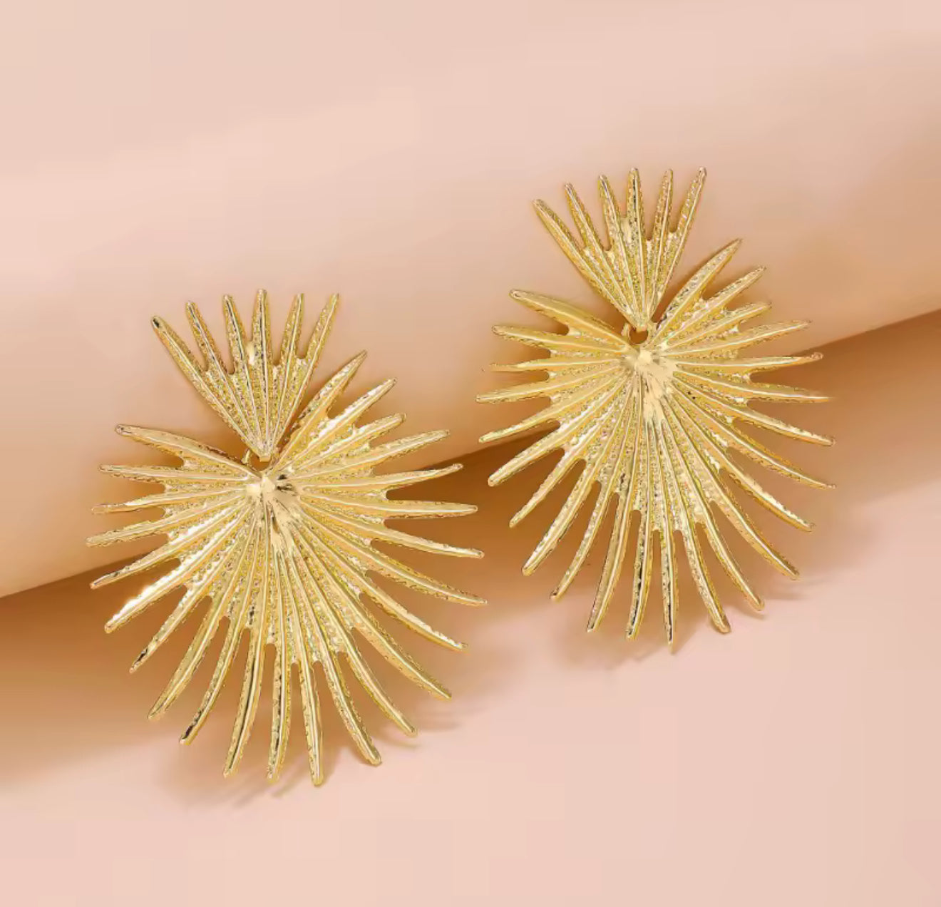 Fan-Shaped Stainless Steel Earrings