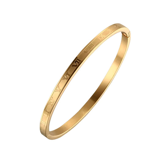 Roma Stainless Steel Bangle
